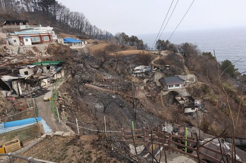 영덕군 영덕읍 석리 산불 피해 현장[촬영 손대성]