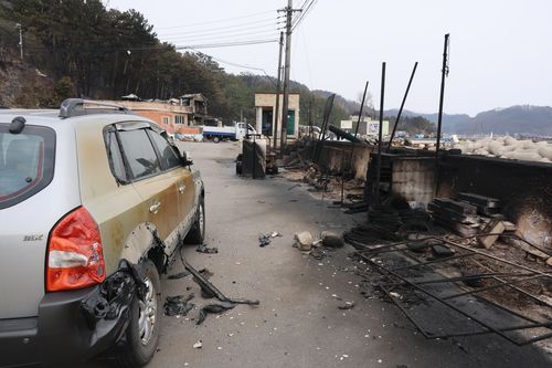 영덕군 축산면 경정3리 피해 현장[촬영 손대성]