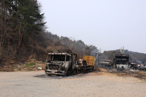 영덕군 영덕읍 피해 현장[촬영 손대성]