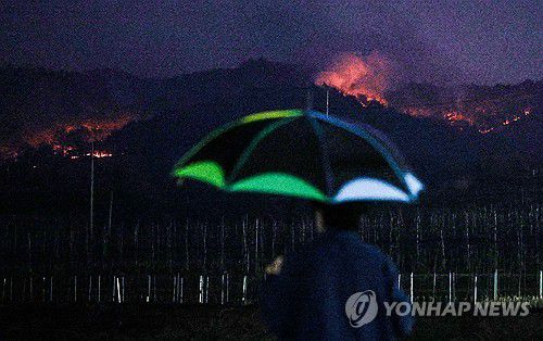 산불 잠재우기에 턱없이 부족한 비(영양=연합뉴스) 윤관식 기자 = 27일 경북 영양군 입암면 노달리 마을에서 한 주민이 우산을 쓰고 산불 상황을 살펴보고 있다.     이날 오후 7시께 영양군에는 굵은 빗방울이 잠시 떨어졌다. 2025.3.27 psik@yna.co.kr