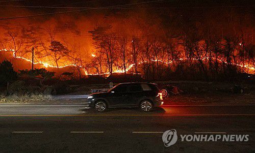 도로 옆까지 번진 산불(안동=연합뉴스) 김도훈 기자 = 25일 경북 안동시 임하면의 한 도로 옆 야산으로 불이 번지고 있다. 2025.3.25 superdoo82@yna.co.kr
