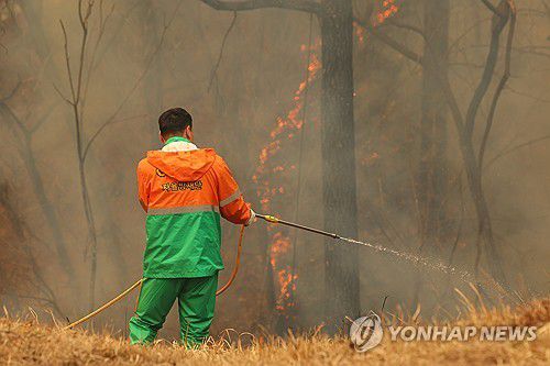 산불 진화작업 벌이는 의용 소방대원(영양=연합뉴스) 김도훈 기자 = 26일 경북 영양군 입암면 방전리 야산에서 입암면 의용소방대원이 산불 진화 작업을 벌이고 있다. 2025.3.26 superdoo82@yna.co.kr