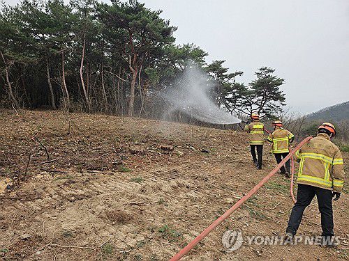 안동 병산서원 산불 방어선 구축하는 소방관들(안동=연합뉴스) 경북 지역 산불이 계속되고 있는 가운데 27일 경북 안동시 풍천면 병산서원 인근에서 소방관들이 벌목 후 물을 뿌리며 산불 방어선을 구축하고 있다. 2025.3.27  [경북소방본부 제공. 재판매 및 DB 금지] photo@yna.co.kr