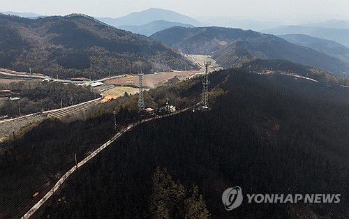 28일 5시 기준 경북 청송 산불 진화율 89%(청송=연합뉴스) 김도훈 기자 = 산림청이 28일 오전 5시 기준 경북 청송군 지역 산불 진화율이 89%라고 밝힌 가운데 청송군 파천면 신기리 일대 야산이 불에 타 그을려 있다. 2025.3.28 superdoo82@yna.co.kr