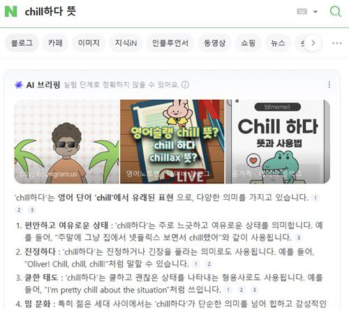 네이버 AI 브리핑[네이버 검색 캡처]
