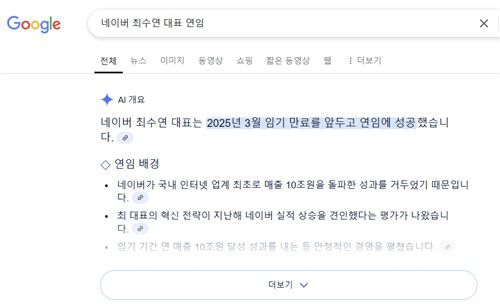 구글 AI 개요 기능[구글 검색 캡처]