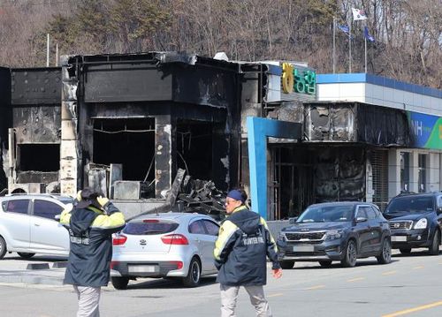 29일 경북 안동시 임하면 임하리에 불탄 은행의 모습[손형주]