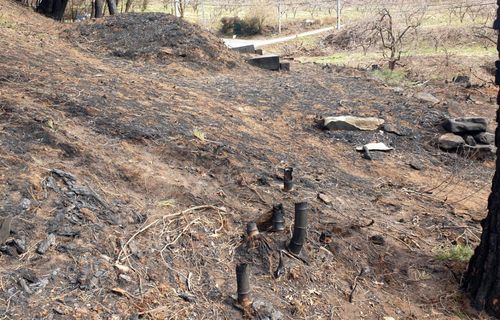 화재 피해를 본 묘소[촬영 박정헌]