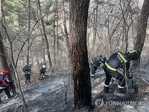 지리산을 지켜라지리산국립공원 경남사무소 직원이 지난 26일 경남 하동군 옥종면에서 잔불 진화 작업을 벌이고 있다. 2025.3.27 [경남사무소 제공. 재판매 및 DB 금지]