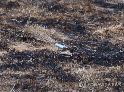 경북산불 발화 추정 지점서 발견된 라이터(의성=연합뉴스) 박세진 기자 = 29일 경북산불 최초 발화 추정 지점인 의성군 괴산리 야산 묘지에 라이터가 버려져 있다. 2025.3.29 psjpsj@yna.co.kr