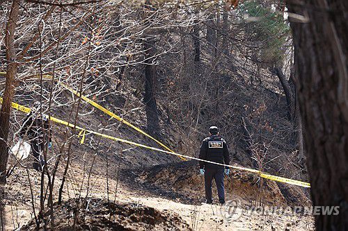 '경찰, 경북산불 최초 발화 추정 지점 현장 조사'(의성=연합뉴스) 박세진 기자 = 경북경찰청 형사기동대와 과학수사계가 29일 경북산불 최초 발화 추정 지점인 의성군 괴산리 야산에서 현장 조사를 하고 있다. 2025.3.29 psjpsj@yna.co.kr psjpsj@yna.co.kr