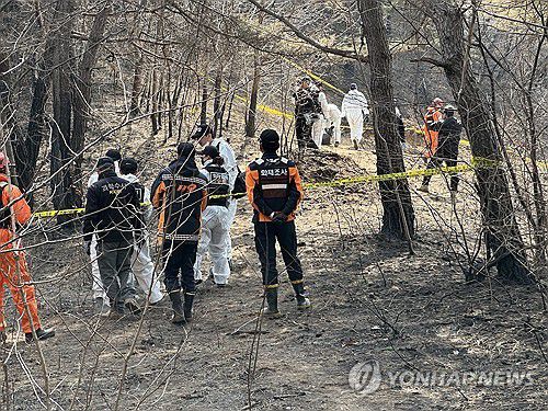 경북산불 최초 발화지서 소방·경찰 합동감식(의성=연합뉴스) 김선형 기자 = 31일 경북 산불 최초 발화지로 지목된 의성군 안평면 괴산리 산불 발생 현장에서 소방 당국과 국립과학수사연구원 등이 합동 감식을 하고 있다. 2025.3.31 sunhyung@yna.co.kr