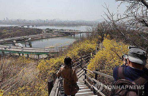 봄의 불청객과 상춘(서울=연합뉴스) 서명곤 기자 = 미세먼지 농도가 '나쁨' 수준을 보인 26일 개나리가 활짝 핀 서울 성동구 응봉산에서 바라본 서울 시내가 뿌옇게 보이고 있다. 2025.3.26 seephoto@yna.co.kr