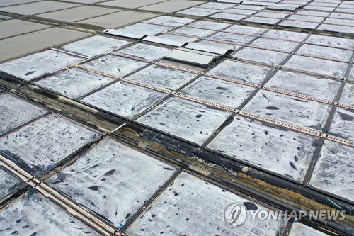 새하얀 소금 결정(신안=연합뉴스) 정다움 기자 = 5일 오후 전남 신안군 증도면 태평염전에 소금 결정이 맺히고 있다. 2023.6.6 daum@yna.co.kr