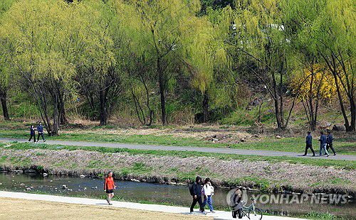 싱그러운 봄 산책[연합뉴스 자료사진]