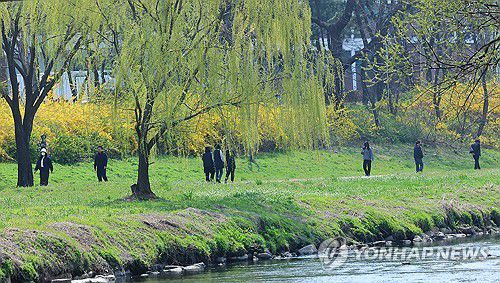 푸른 봄[연합뉴스 자료사진]