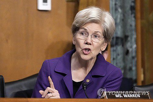 민주당 엘리자베스 워런 연방상원의원[AP 연합뉴스 자료사진]