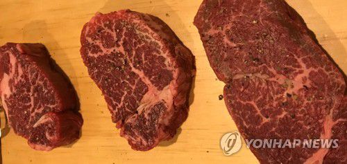 후추 뿌린 고기 [연합뉴스 자료사진]