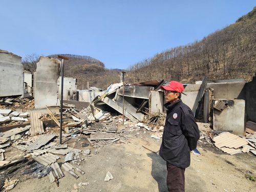 폐허가 된 마을(의성=연합뉴스) 김선형 기자 = 16일 경북 의성군 단촌면 구계2리에서 이장 류시국(62)씨가 산불로 초토화된 마을을 바라보고 있다. 2025.4.16 sunhyung@yna.co.kr