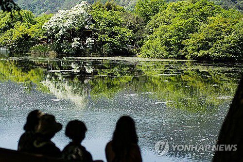 [연합뉴스 자료사진]