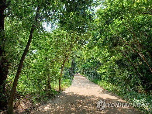 여의도 샛강생태공원 산책로 [연합뉴스 자료사진]