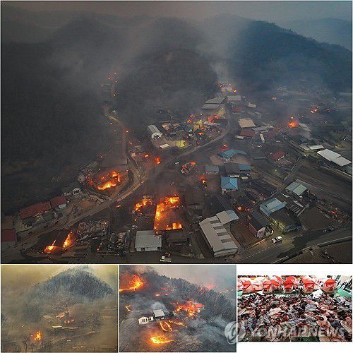 지난달 말 발생한 경북지역 산불[연합뉴스 자료사진]