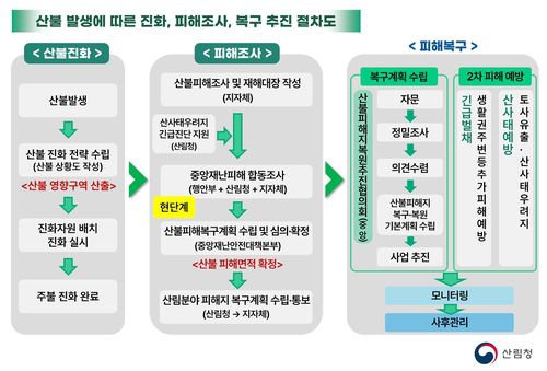 산불 발생에 따른 진화·피해조사·복구 추진 절차도[산림청 제공. 재판매 및 DB 금지]