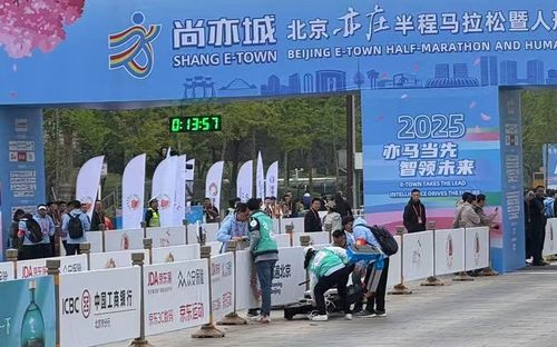 출발선 부근에서 쓰러진 로봇[촬영 정성조]