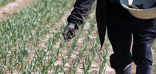 일상 되찾기 노력하는 산불 피해 주민[연합뉴스 자료사진]