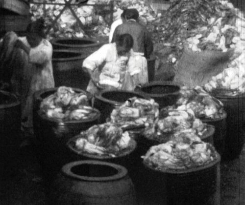 [연세의료원 제공]