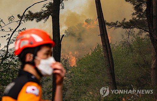강풍에 번지는 산불(대구=연합뉴스) 윤관식 기자 = 28일 오후 2시 1분께 대구 북구 노곡동 함지산에서 산불이 발생한 가운데 인근 민가로 번지고 있다. 2025.4.28 psik@yna.co.kr