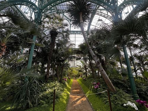 온실정원내 '콩고 하우스'(브뤼셀=연합뉴스) 정빛나 특파원 = 벨기에 국왕 주최 언론인 대상 리셉션이 열린 브뤼셀 라켄궁 온실정원 내부의 '콩고 하우스'. 아프리카 지역의 열대 식물을 기르는 구역이다.   이 온실정원은 잔혹한 콩고 식민통치로 악명이 높은 레오폴드 2세 재위 당시 건립된 곳으로, '어두운 역사'의 잔재라는 비판도 있다. 2025.4.29 shine@yna.co.kr