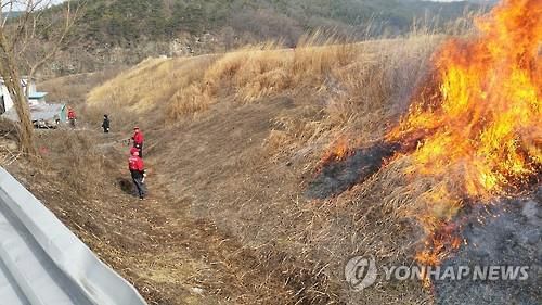 논밭 두렁 태우기[연합뉴스 자료사진]