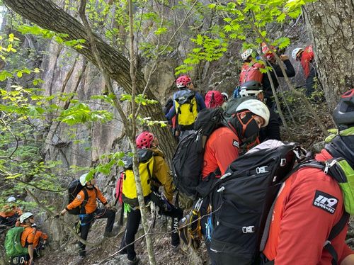 암벽 구조훈련 실시하는 환동해특수대응단[강원특별자치도소방본부 환동해특수대응단 제공. 재판매 및 DB 금지]