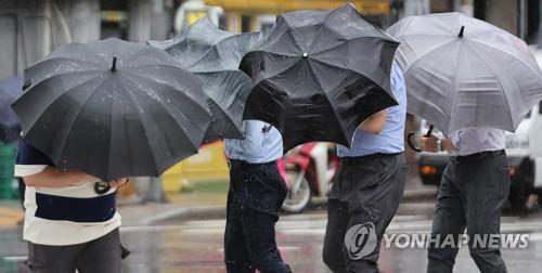 강풍 [연합뉴스 자료사진]