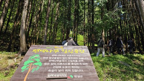 성수산 왕의 숲[촬영 임성호]