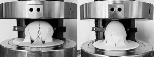 가로 방향과 세로 방향 달걀 압축 실험[Communications Physics / Tal Cohen et al. 제공. 재판매 및 DB 금지]