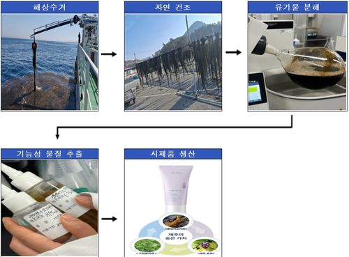 원료 추출 및 제품 생산 과정[제주도 제공. 재판매 및 DB 금지]
