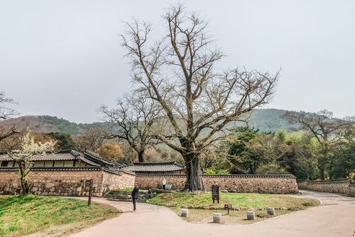 녹우당[사진/백승렬 기자]