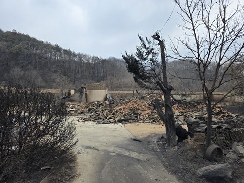 경북 산불로 불에 모두 탄 고택 괴와구려[연합뉴스 독자 김기현 씨 제공, 재판매 및 DB 금지]