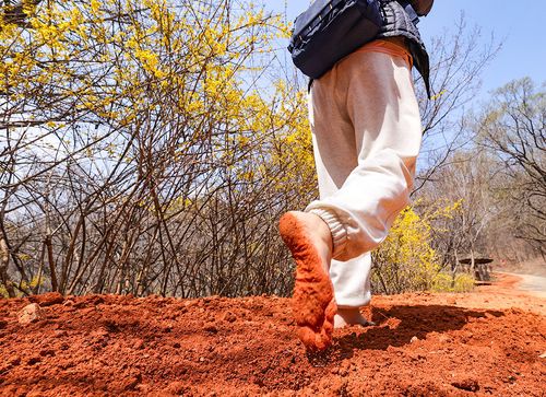 황톳길을 맨발로 걷는 시민 [사진/임헌정 기자]