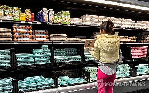 15일(현지시간) 미국 한 상점에서 달걀 살피는 주민[휴스턴 AFP=연합뉴스. 재판매 및 DB 금지]