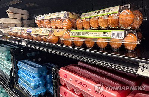 미국 마트에 진열된 달걀[휴스턴 AFP=연합뉴스. 재판매 및 DB 금지]
