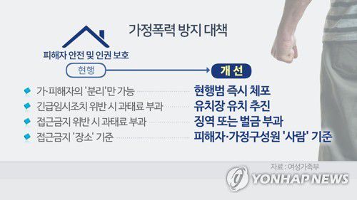 가정폭력 방지 대책 (CG)[연합뉴스TV 제공]