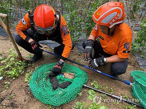 강아지 구조한 소방관들[순창소방서 제공. 재판매 및 DB 금지]