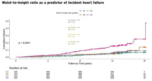허리둘레-키 비율(WtHR)과 심부전 위험 관계허리둘레-키 비율(WtHR)이 높을수록 심부전 발생 위험이 유의미하게 증가했으며, 허리둘레-키 비율이 1 표준편차(0.04~0.05) 증가할 때마다 심부전 발생 위험은 34% 증가하는 것으로 분석됐다. [Heart Failure 2025 / Amra Jujic et al. Lund University 제공. 재판매 및 DB 금지]