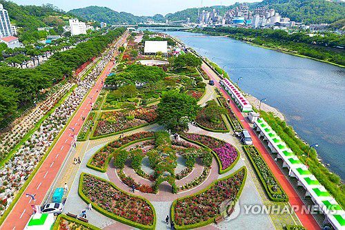 천만 송이 장미가 활짝…삼척장미축제 개막(삼척=연합뉴스) '2025 삼척장미축제'가 개막한 23일 강원 삼척시 오십천 장미공원에 관람객들의 발길이 이어지고 있다.     장미공원은 약 8만5천㎡ 부지에 220여 종, 16만 그루 이상의 장미가 식재돼 6월 1일까지 이어지는 축제 기간 천만 송이의 장미가 만개해 장관을 이룰 예정이다. 2025.5.23 [삼척시 제공. 재판매 및 DB 금지] yoo21@yna.co.kr