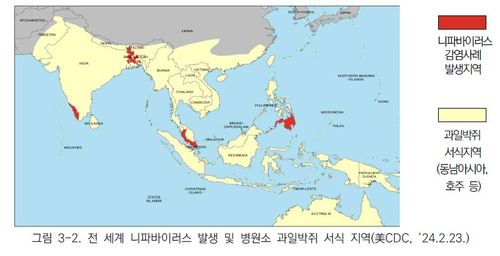 [질병관리청 제공]