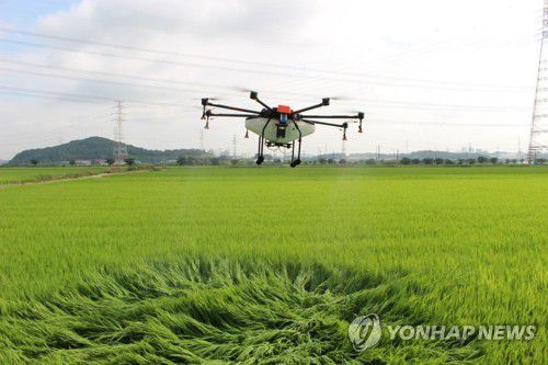 드론 공동방제[연합뉴스 자료사진]