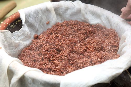 문배주에 들어가는 조와 수수사진 출처 : 국립민속박물관 한국민속대백과 사전